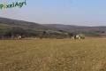 Epandage de chaux 2013 (Agri-Gathy)