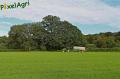 epandage-de-lisier-2012-evrard-4-003-horzcopy.jpg