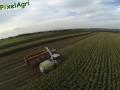 Ensilage de maïs (Ruwet)