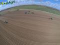 Plantation de PDT (Smeysters)