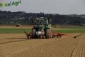 Semis de betteraves (Ruwet)