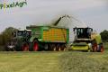Ensilage d'herbe (Schoonbroodt)