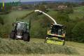 Ensilage d'herbe (Schoonbroodt)