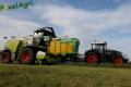 Ensilage d'herbe (Schoonbroodt)