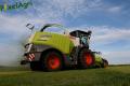 Ensilage d'herbe (Schoonbroodt)