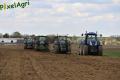 Plantation de PDT (Smeysters)