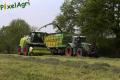 Ensilage d'herbe (Laschet)
