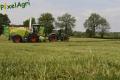 Ensilage d'herbe (Laschet)