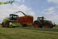 Ensilage d'herbe (Laschet)