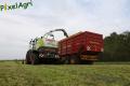 Ensilage d'herbe (Londosfer)