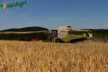 Moisson