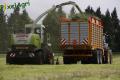Ensilage d'herbe (Londosfer)