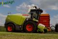 Ensilage d'herbe (Ruwet)