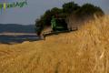 Moisson