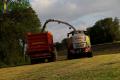 Ensilage d'herbe (Ruwet)