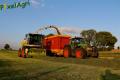 Ensilage d'herbe (Ruwet)