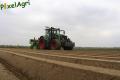 Plantation de PDT (Fortemps)