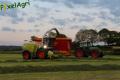 Ensilage d'herbe (Ruwet)