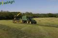 Ensilage d'herbe (Evrard)