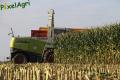 Ensilage maïs (Ruwet)