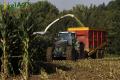Ensilage maïs (Ruwet)