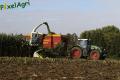 Ensilage maïs (Ruwet)