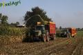 Ensilage maïs (Ruwet)