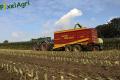 Ensilage maïs (Ruwet)