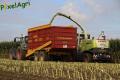 Ensilage maïs (Ruwet)