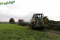 Ensilage de maïs (Ruwet)