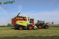 Ensilage d'herbe (Ruwet)