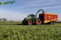 Ensilage d'herbe (Ruwet)