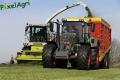 Ensilage d'herbe (Ruwet)