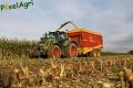 Ensilage de maïs (Ruwet)