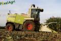 Ensilage de maïs (Ruwet)