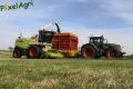Ensilage d'herbe (Ruwet)