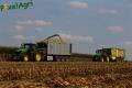 Ensilage de maïs (Lacroix)