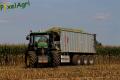 Ensilage de maïs (Lacroix)