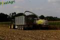 Ensilage de maïs (Lacroix)
