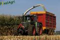 Ensilage de maïs (Bonhomme)