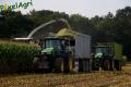 Ensilage de maïs (Lacroix)