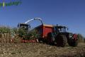 Ensilage de maïs (Bonhomme)