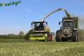 Ensilage d'herbe (Lacroix)