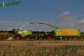 Ensilage de maïs (Schoonbroodt)
