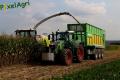Ensilage de maïs (Schoonbroodt)