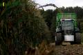 Ensilage de maïs (Schoonbroodt)