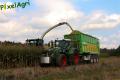 Ensilage de maïs (Schoonbroodt)