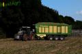 Ensilage de maïs (Schoonbroodt)