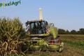 Ensilage de maïs (Lacroix)