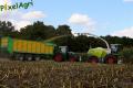 Ensilage de maïs (Schoonbroodt)